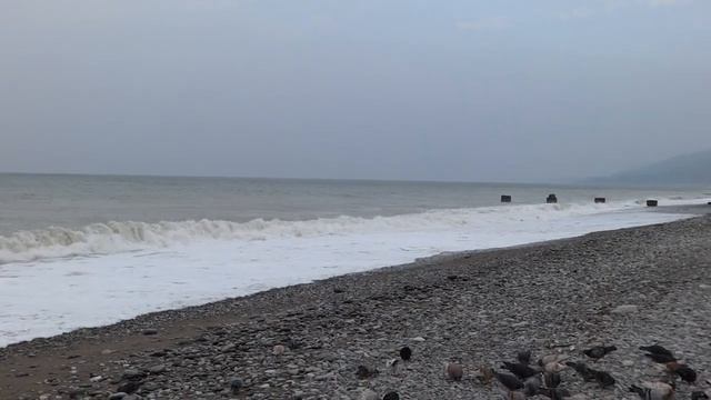 "Уж небо осенью дышало"... Погода в Лазаревском 2 ноября t +9°C, вода t +17,5°С. SOCHI RUSSIA смотреть онлайн