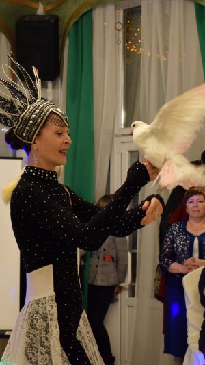 "Голубка" дрессированные голуби Tanita Moore