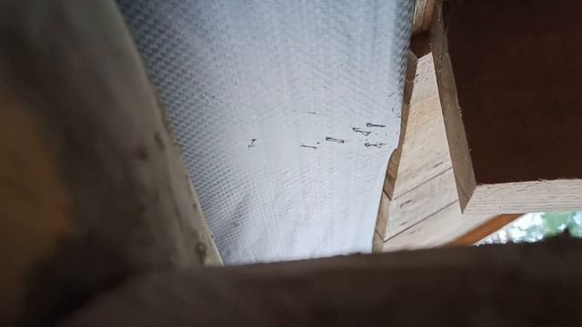 Пароизоляция крыши. Какую плёнку выбрать?