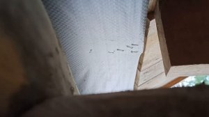 Пароизоляция крыши. Какую плёнку выбрать?