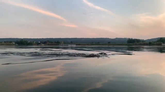 Welcome to swim Plavita Sadhana & Total Immersion Swimming Ukraine ?? смотреть онлайн