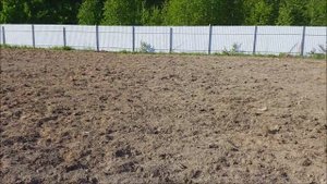 Биогумус применение в огороде.