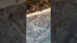 Азбука-Леса Отзыв о работе с утеплителем кнауф норд (knauf)