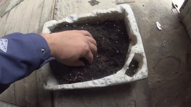 Как хранить червей круглый год? Лучшая червячница, от жары и холода!