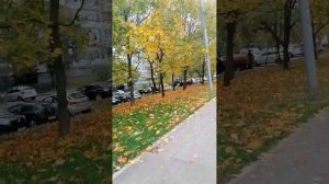 Песня года/Осенний блюз/ Вадим Крёстный ?????