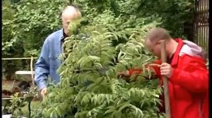 Вячеслав Тихонов