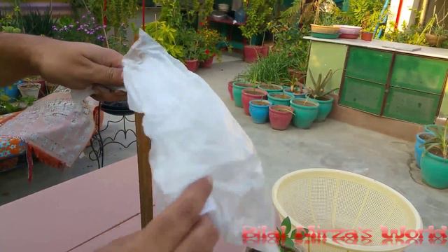 50 - How To Protect Plants & Seedlings From Birds And Pets Nov.2016 (URDU/HINDI) смотреть онлайн