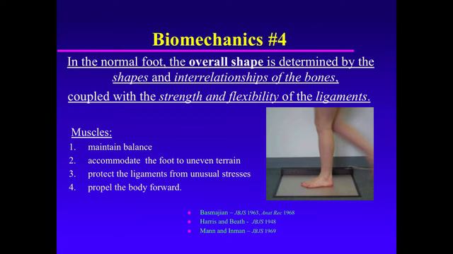 Biomechanics Of The Pediatric Foot. Principle 04. Factors That Determine Foot Shape