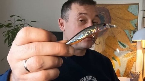 Ночной судак на воблеры. Статистика по воблерам где в каких условиях использовать воблеры.