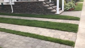 Дневник мадам S об одиночестве пенсионерок. Так нужен ли мужчина на старости лет?