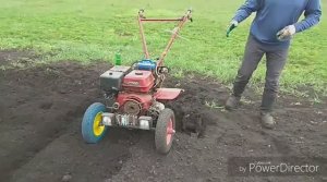Как посадить картошку мотокультиватором (мотоблоком).