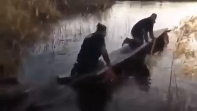 Капитан Улитка Прикол смотреть онлайн