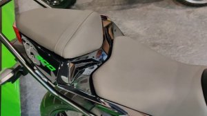 2021 Kawasaki Ninja 300 BS6 Telugu Walkaround | BS6 Ninja 300 in Telugu 2021 | Ninja 300 BS6 Price