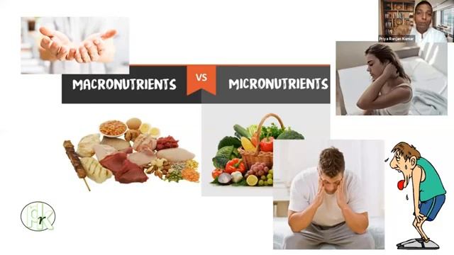 Specialised Training on Reishi Gano Tea and Super food Spirulina। By Priyaranjan sir смотреть онлайн