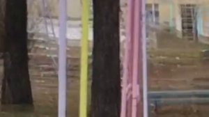 В Железногорске олень гулял во дворе жилого дома