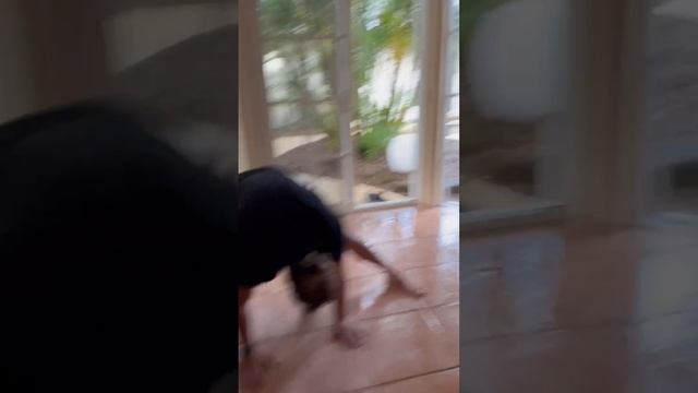 Don't Slip! смотреть онлайн