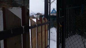 Откатные ворота с верхней балкой. Как открываются зимой