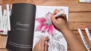 Маркеры Малевичъ | ОБЗОР + процесс раскрашивания | набор Flora