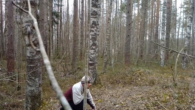 Кунг-фу Лесной Обезьяны смотреть онлайн