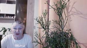 НЕЧТО В ЧИТИНСКОМ ЛЕСУ