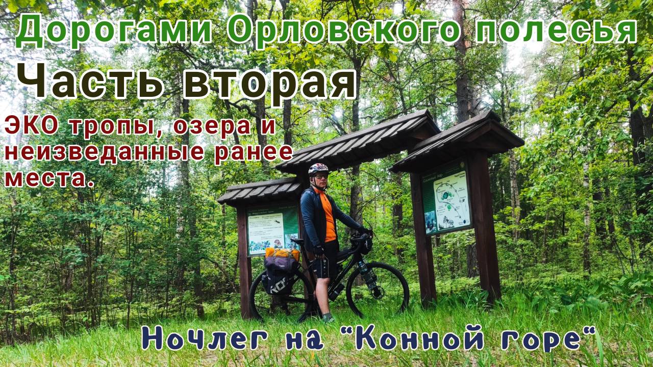 Дорогами Орловского полесья / Часть вторая / Ночлег на "Конной горе". #велопоход #природа #туризм