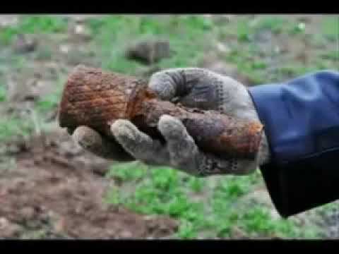 Гражданская оборона - Мёртвые