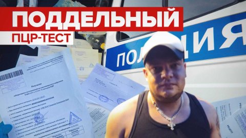 В Петербурге задержали торговца поддельными справками об отрицательном ПЦР-тесте на коронавирус