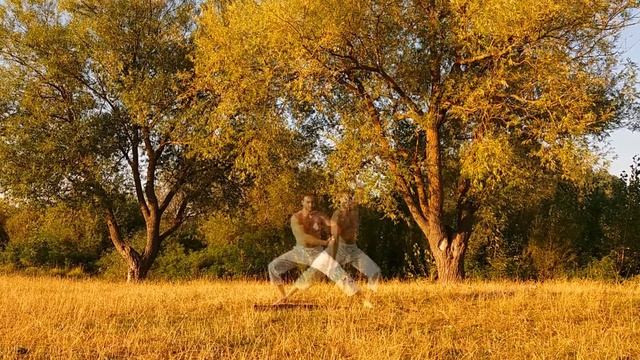 МЕДИТАЦИЯ | ЛЕТНЕЕ УТРО | ТРЕНИРОВКА НА ПРИРОДЕ | MEDITATION IN NATURE | RELAX FOR SOUL