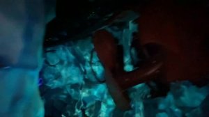 Дубайский аттракцион "Как приручить дракона"/Dubai attraction "How to Train Your Dragon"