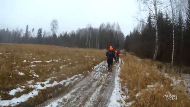 Загоная охота в МО