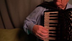 J. Strauss - "Annen-Polka" исп. Виктор Заходяев