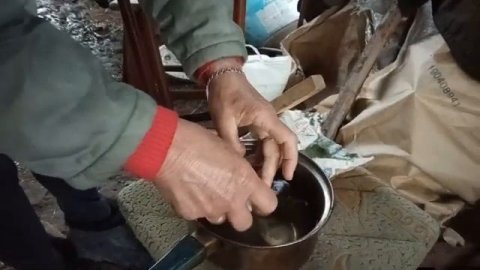 Искусственное осеменение свиней, в домашних условиях 100%. Как искусственно осеменить свинью.