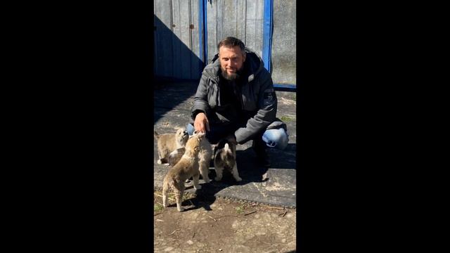 "Я НИКОГДА ТЕБЯ НЕ ОТПУСКАЮ СЕРДЦЕМ" - АЛЕКСАНДР КРАСАВИН смотреть онлайн