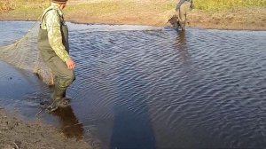 Рыбалка бреднем в микра речьки