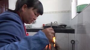 【陕北霞姐】霞姐去二英家摘苹果,晚餐2只鸡炖洋芋,软绵绵的,比吃大盘鸡还香!