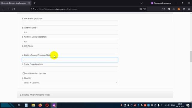 Легальный переезд в США | Подробная инструкция заполнения анкеты DV-2025 смотреть онлайн
