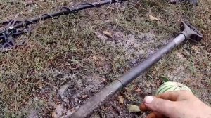 Шок. В Белорусских лесах растут дикие Арбузы!!!