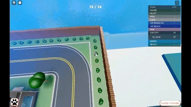 finding all cats in find the cat roblox part 2 смотреть онлайн