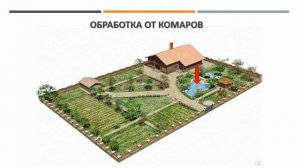 Профессиональная обработка участка от комаров