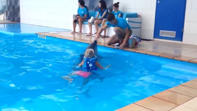 Плавание с Дельфинами. смотреть онлайн