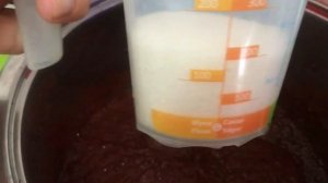 Пастила из терновки/Можно из любой /Просила, но не подумала)/