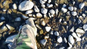 Автотрип по Чуйскому тракту, август 2021 года