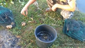 Раки в Тульской области, Ловим раков в Туле