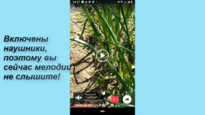 Как добавить музыку в сторис