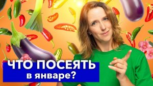 УСПЕЙТЕ ПОСЕЯТЬ ДО КОНЦА ЯНВАРЯ ПОКА НЕ ПОЗДНО! Вот какие цветы и овощи сею самыми первыми