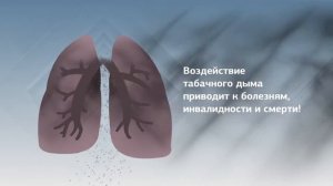 О вреде курения