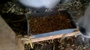 Поилка с подогревом для КРОЛИКОВ!