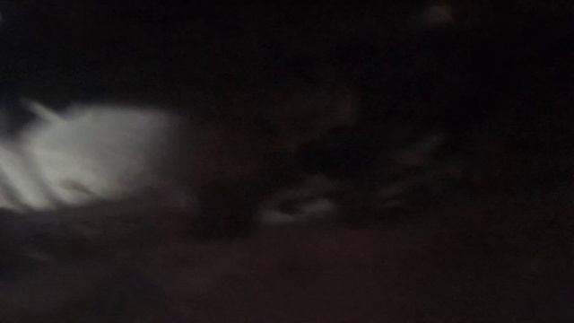 Прадо 120 замена рулевой рейки.легко пиzDеc.....