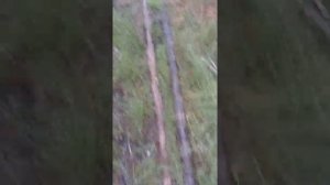 Отдых на озере Родионово. Сосновское.. Нижегородская область. 1 августа 2020 г.