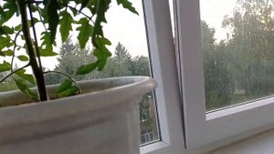 Как выращивать овощи на балконе.